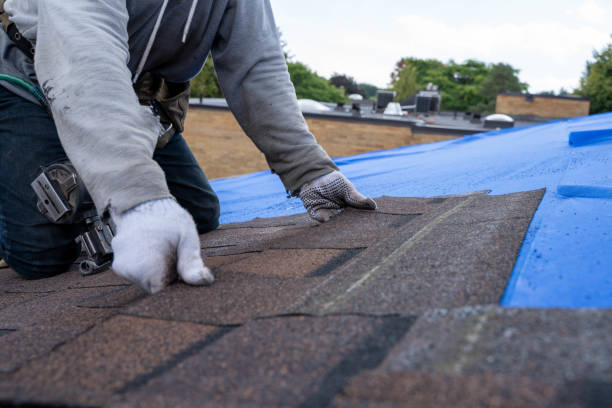 Roof Gutter Cleaning in Lovettsville, VA